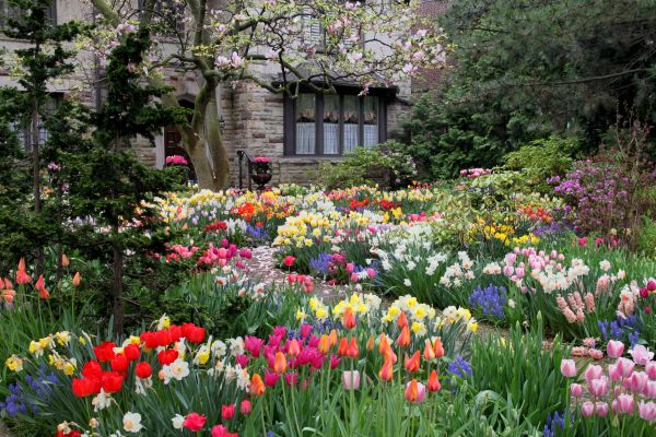 Garden Maintenance Service in Ankeny