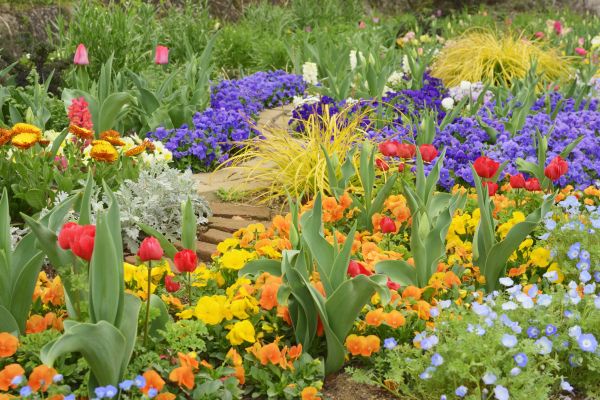 Garden Renovation in Ankeny