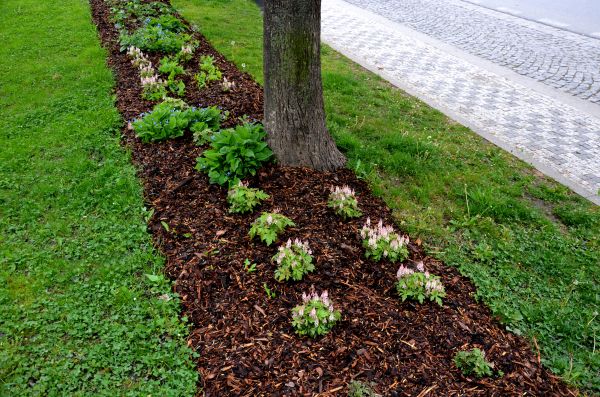 Mulch Replacement Service in Ankeny