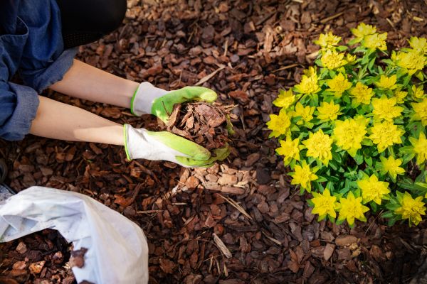 Pine Bark Delivery in Ankeny
