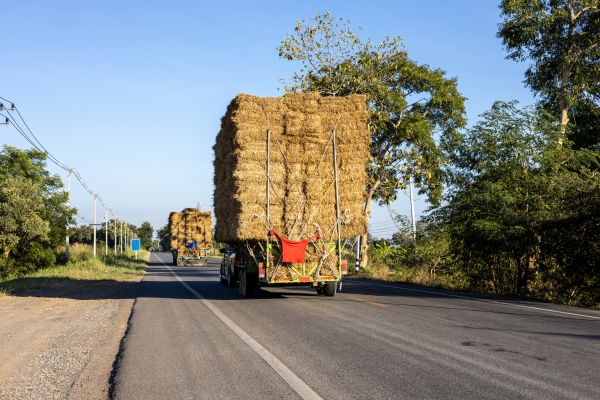 Pine Straw Delivery in Ankeny