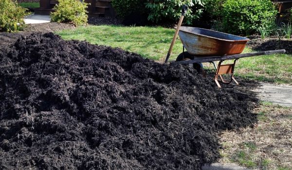 Black Mulch Delivery in Ankeny