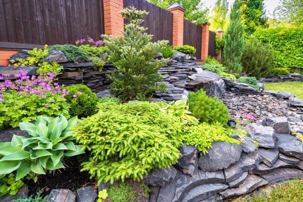 Landscape Remodeling in Ankeny