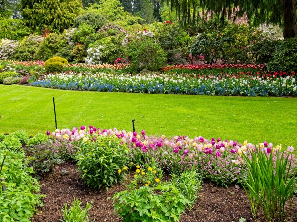 Residential Landscape Design in Ankeny
