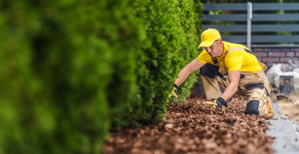 Cypress Mulch Installation in Ankeny