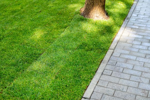 Border Stone Installation in Ankeny