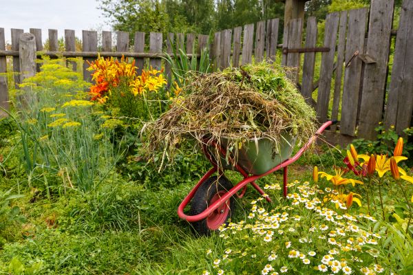 Garden Cleanup Service in Ankeny
