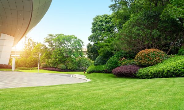 Business Landscape Design in Ankeny