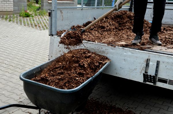 Landscape Mulch Delivery in Ankeny