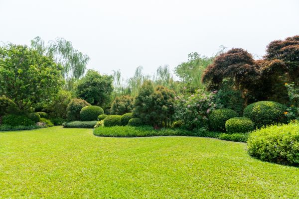 Tree Landscaping in Ankeny