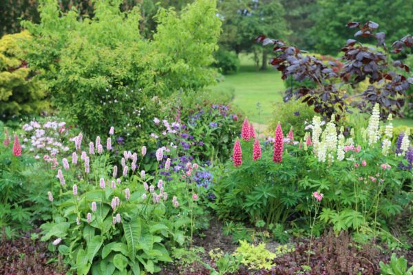 Flower Bed Planting in Ankeny