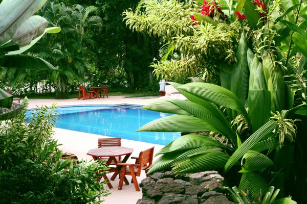 Pool Area Landscaping in Ankeny