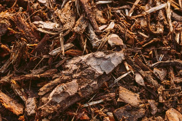 Bark Mulch Delivery in Ankeny