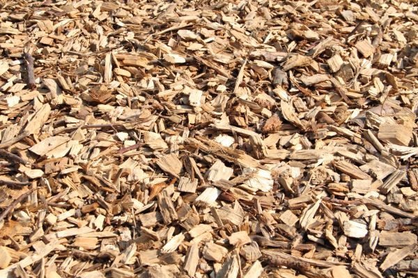 Wood Mulch Delivery in Ankeny