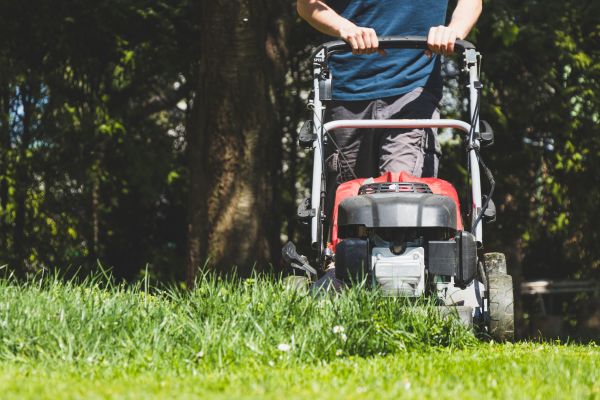 Garden Trimming Service in Ankeny