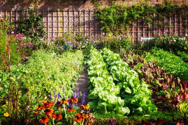 Garden Planting Service in Ankeny