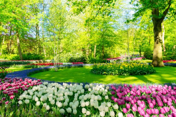 Flower Landscaping in Ankeny