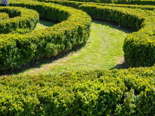 Bush Landscaping in Ankeny