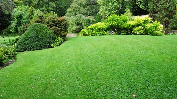 Commercial Landscape Design in Ankeny