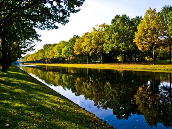 Bank Landscaping in Ankeny