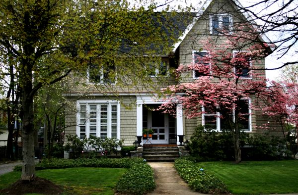 Ornamental Tree Planting in Ankeny