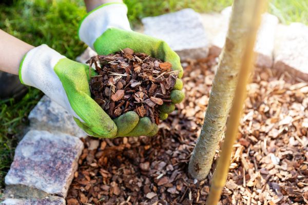 Tree Bark Delivery in Ankeny