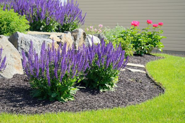 Landscape Planting Service in Ankeny