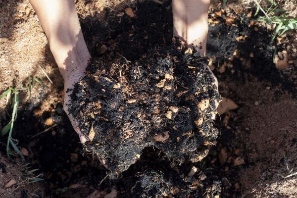 Organic Mulch Installation in Ankeny