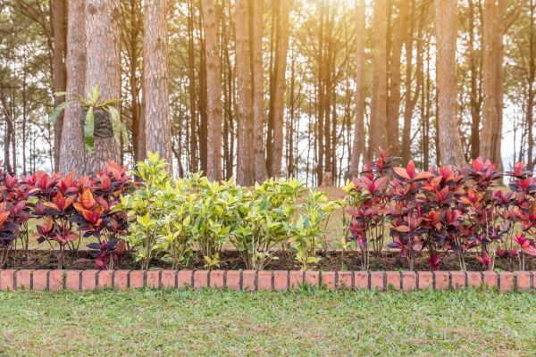 Small Garden Landscaping in Ankeny