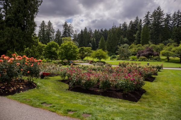 Flower Garden Landscaping in Ankeny